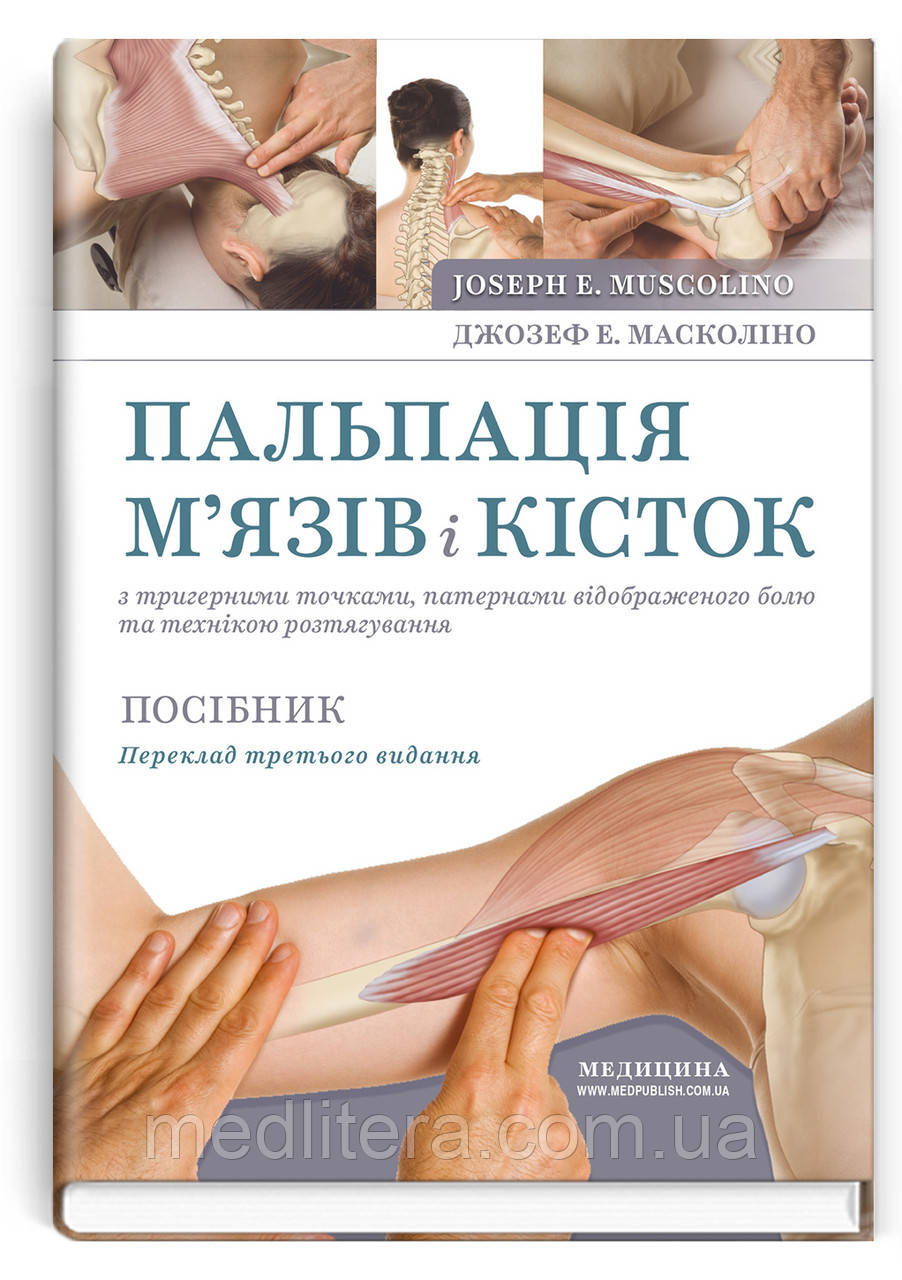 Пальпація м’язів і кісток з тригерними точками, патернами відображеного болю та технікою розтягув Масколіно Масаж тіла, фото 1