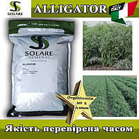 Насіння кріп кущовий Алігатор / Alligator (темний, жаростійкий) ТМ Solare Sementi (Італія)