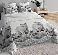 Постельное бельё ЕВРО, GOLD LUX - хлопок, TM Krispol (422.515123.2)