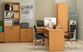 Офісні меблі в кабінет директора набір АМФ No3