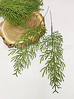 Гілочка ялівцю , 33см. Зелена