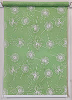 Рулонні штори Кульбаби 5428/7 Ментол