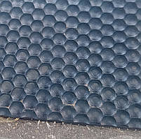 Гумовий килим для поросят 1200х500х12