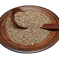 Коріандр горошок, фото 2