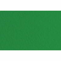 Папір для пастелі Tiziano A3 ( 29,7х42см) №37 biliardo 160г/м2 зелений середнє зерно Fabriano