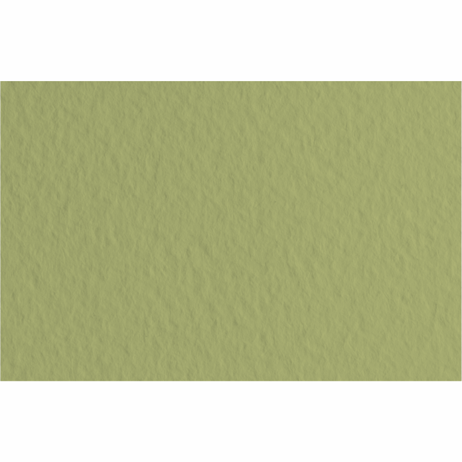 Папір для пастелі Tiziano B2 (50*70см), №14 muschio, 160г/м2, оливковий, середнє зерно, Fabriano