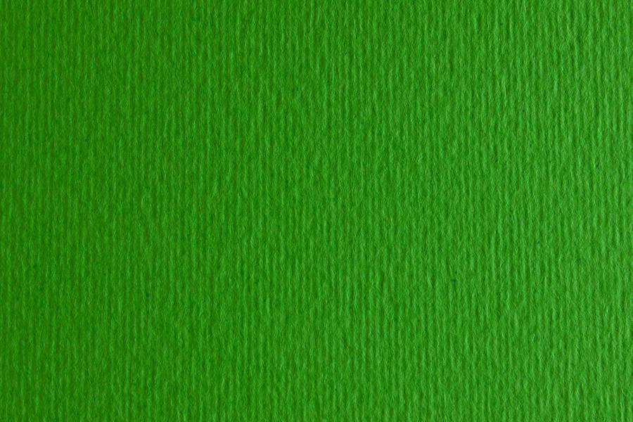 Папір для дизайну Elle Erre В2 (50*70см), №11 verde, 220г/м2, зелений, дві текстури, Fabriano