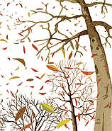 Чистьоха, фото 10