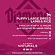 Сухий корм Diamond Naturals Puppy Large Breed Lamb&Rice для цуценят великих порід 15кг, фото 5