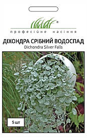 Діхондра Срібний водоспад 5шт / PanAmerican