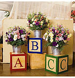 Еустома великоквіткова махрова АВС F1 10шт / PanAmerican, фото 2