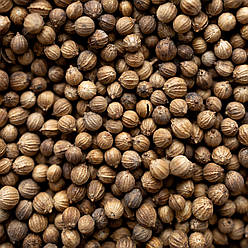 Коріандр (кінза) зерно