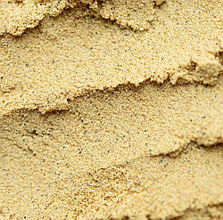 Гірчиця біла мелена