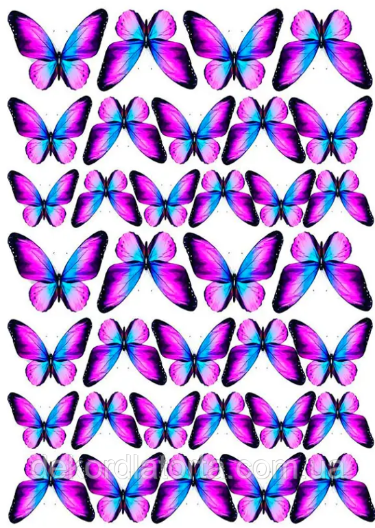Вафельна картинка Метелики №8181