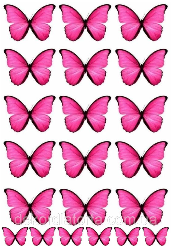 Вафельна картинка Метелики №8180