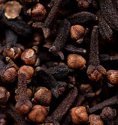 Гвоздика ціла