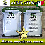 Насіння кріп кущовий Алігатор / Alligator (темний, жаростійкий) ТМ Solare Sementi (Італія), фото 6