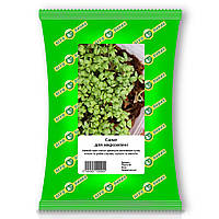 Насіння Салату для мікрозелені 100 г, Агролінія