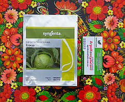 Насіння капусти Епікур F1 (Syngenta), 2 500 насінин — пізня (125-135 днів), білокачанна