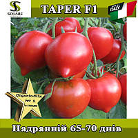Томат з "носиком" Тапер F1 / Taper F1, ТМ Solare Sementi (Італія), 1000 насінин