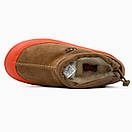 Черевики уггі чоловічі коричневі зимові Ugg Tasman Hybrid Chestnut/Orange (18152), фото 4