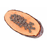 Carnilove True Fresh DOG Turkey для дорослих собак всіх порід, з індичкою 4кг, фото 2