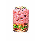 Carnilove True Fresh DOG Turkey для дорослих собак всіх порід, з індичкою 4кг, фото 3