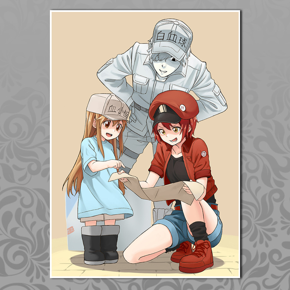 Плакат A4 Аніме Hataraku Saibou 004, фото 1