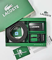 Чоловічий набір, ремінь з двома пряжками Lacoste (989-1)
