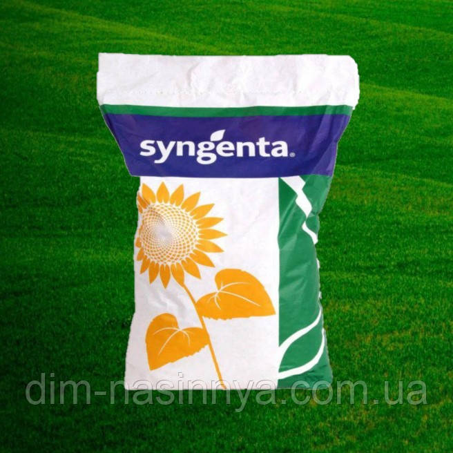 Насіння соняшнику СИ Флавіо КЛП, Syngenta (під Евролайтінг Плюс), фото 1