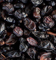 Барбарис синій