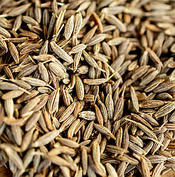 Зіра (кумин) зерно