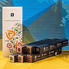 "Привіт Будапешт" Оригінальний вибір кави Nespresso (60 шт.), фото 3