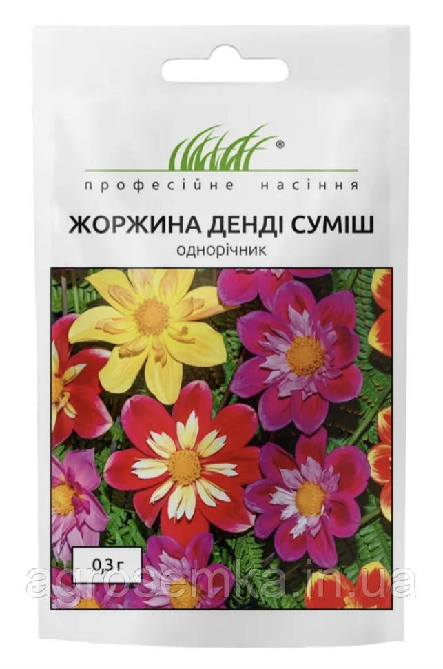 Жоржина низькоросла Денді 0.3г / W. Legutko, фото 1