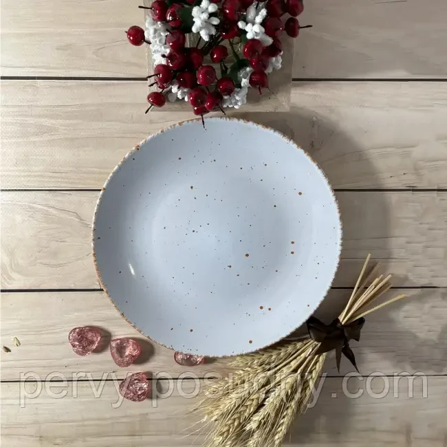 Тарілка обідня порцелянова 'Білий пісок' 210 мм 4200, фото 1