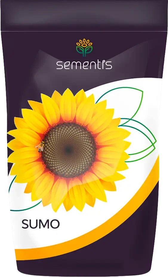 Насіння соняшника SUPERIUS - XL Sementis A-G Нови-Сад, СУПЕРІУС соняшник під гранстар, стійкий до вовчка