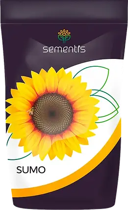 Соняшник OLEUM - М насіння соняшника ОЛЕУМ Sementis A-G Нови-Сад соняшник під гранстар, стійкий до вовчка, фото 1