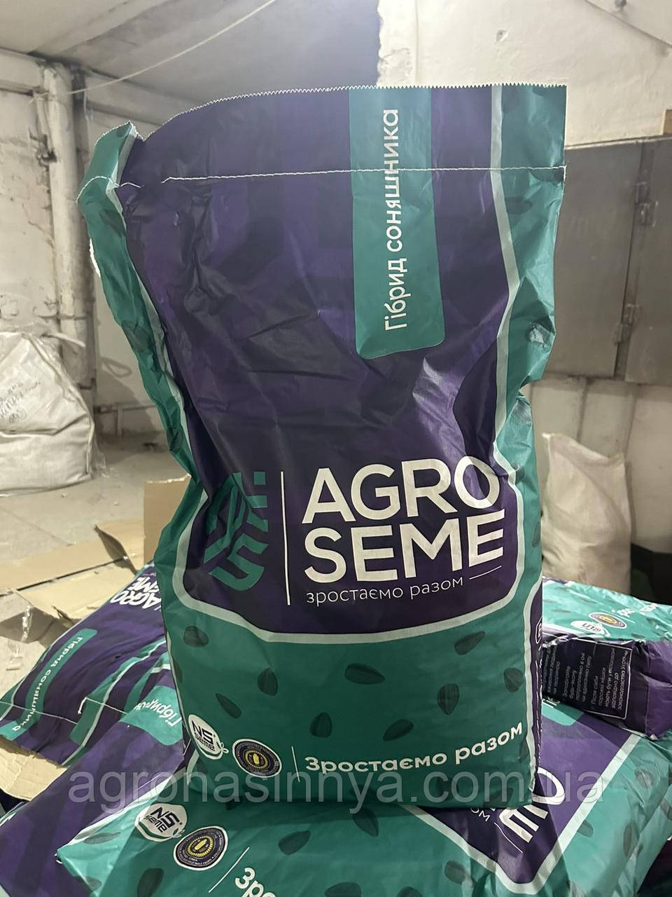 Насіння соняшника НС ТАУРУС, AgroSem