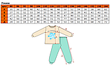 Натуральна дитяча піжама для хлопчика зі штанами зріст 86 см (12 - 18 місяців) Татошка Блакитний з принтом, фото 2