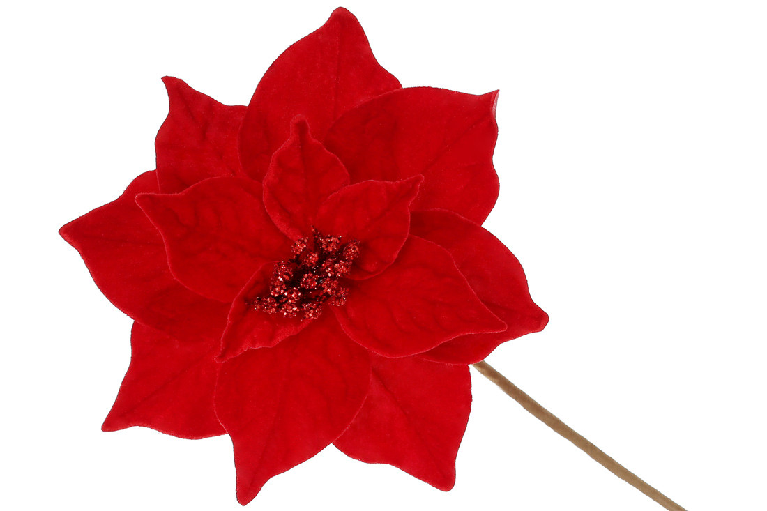 Штучна квітка Пуансетія з оксамиту 22см, ніжка 50см, фото 1