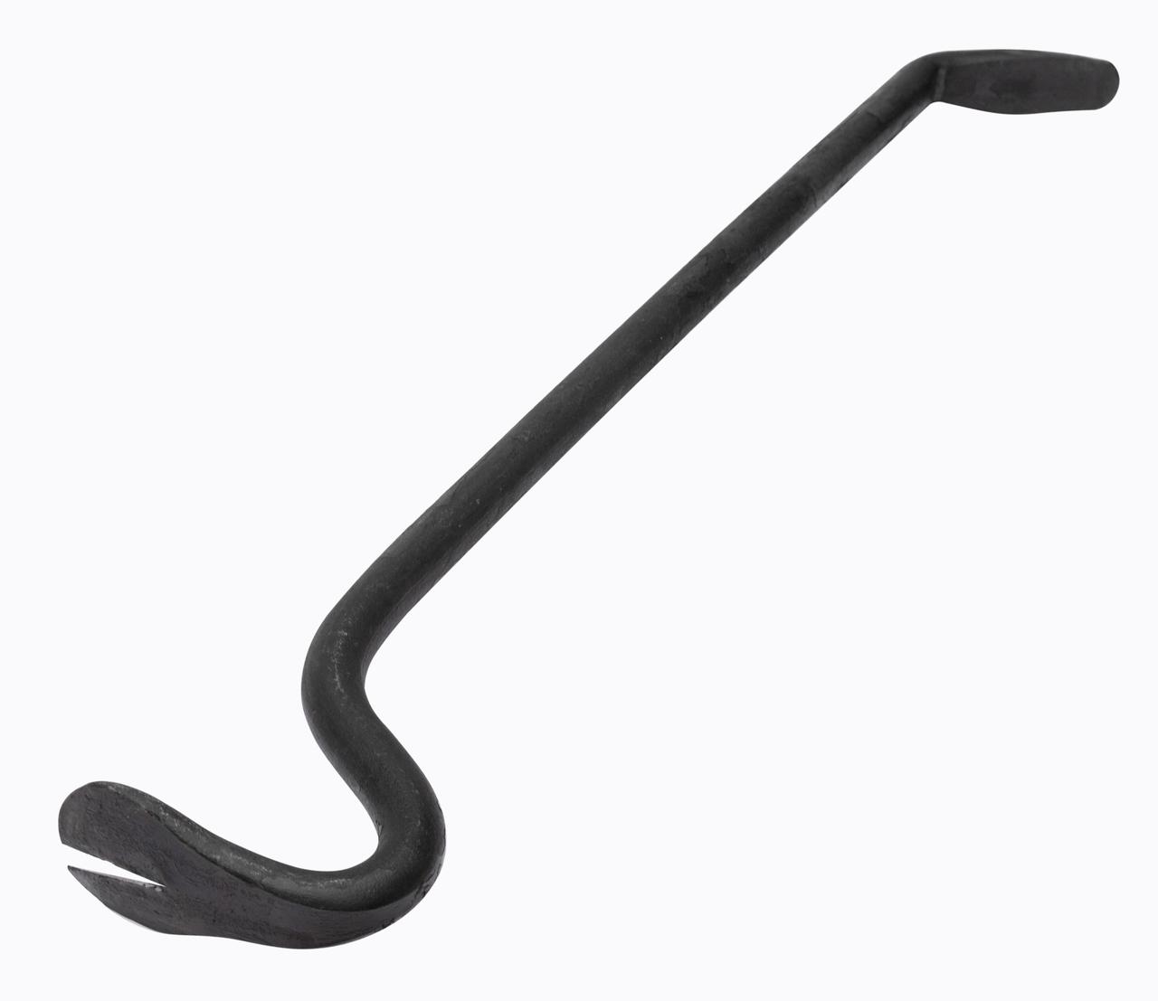 Цвяходер великий (довжина 60 см вага 1,8 кг), фото 1