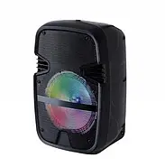 Портативна акустична система з мікрофоном та світломузикою Tekno altavoces 6.5" BT Колонка з RGB підсвічуванням, фото 4