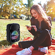 Портативна акустична система з мікрофоном та світломузикою Tekno altavoces 6.5" BT Колонка з RGB підсвічуванням, фото 2