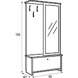 Передпокій BRW Порто PPK/95 Джанні + Сосна ларіко 96х40х189 см, фото 6