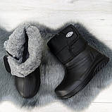 Чоботи жіночі Gipanis, фото 2