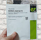 Капаз F1 10 шт насіння дині Enza Zaden Голландія, фото 5