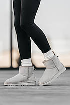 Зимові Жіночі Черевики UGG Classic Mini Light Grey / УГГ Класік Міні Світло Сірі, фото 3