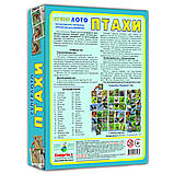 Настільна гра "Супер лото Птаха" Енергія Плюс 81930, 4 ігрові поля, Toyman, фото 3