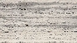 Натуральний камінь Silver Travertine незаповнений шліфований