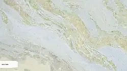 Натуральний камінь Azul Cielo